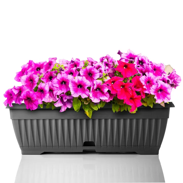 BigDean Blumenkasten 50cm Anthrazit Untersetzer Wasserspeicher