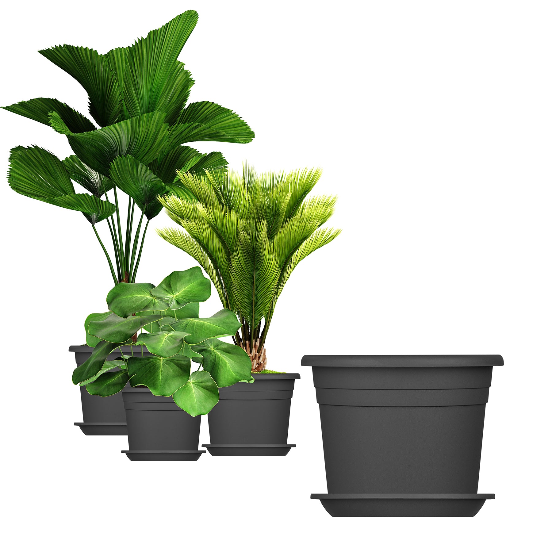 BigDean Blumentopf Untersetzer Ø49cm 9er Anthrazit