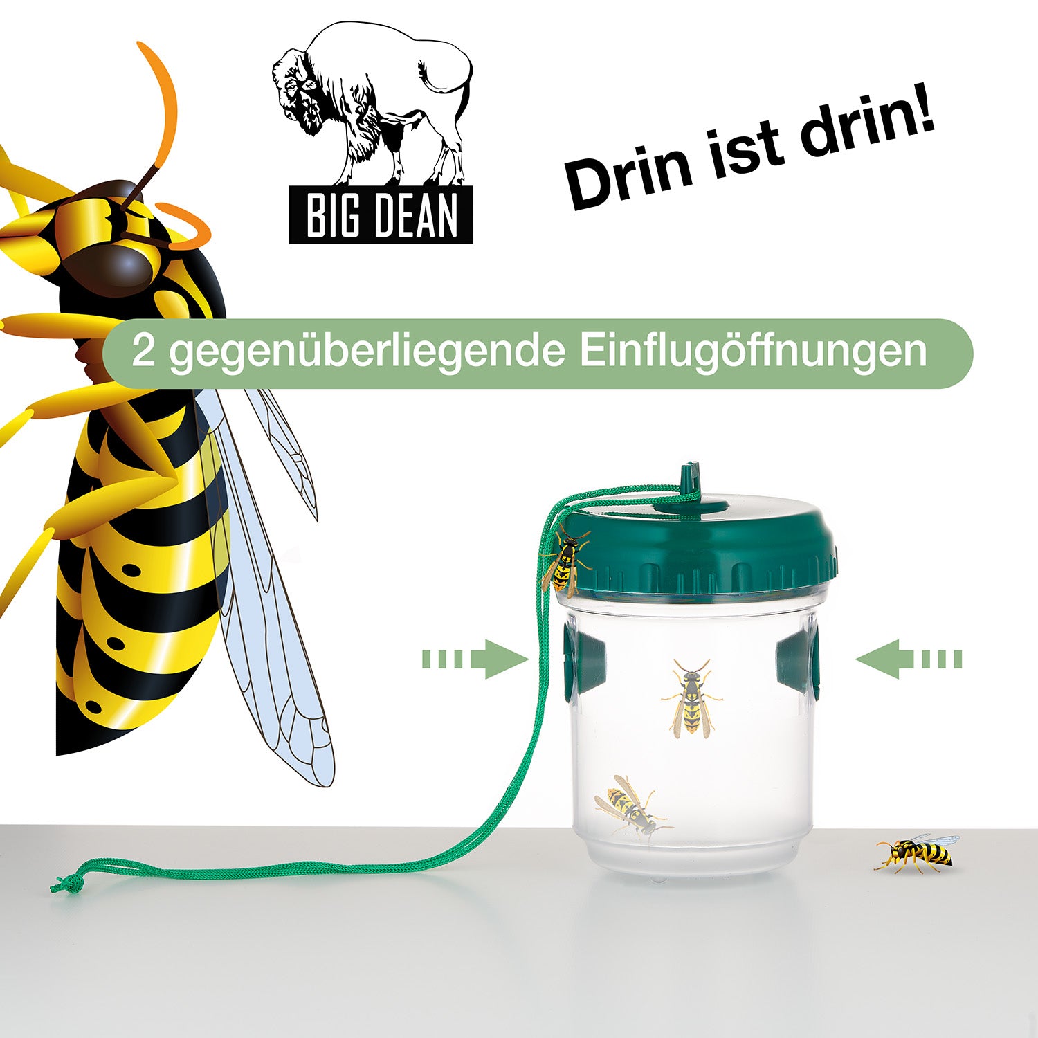 BigDean Garten Wespenfallen Grün 9x13cm 3er Set Lebendfalle