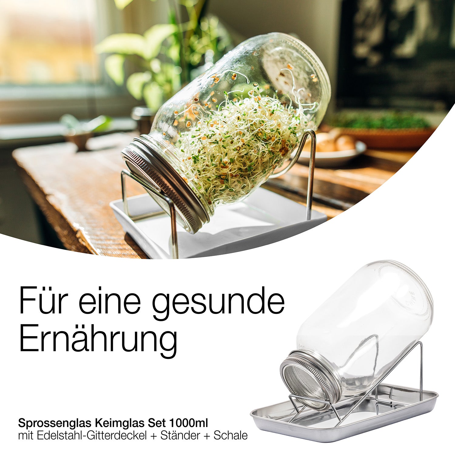BigDean Sprossenglas Keimglas Set 1000ml mit Ständer