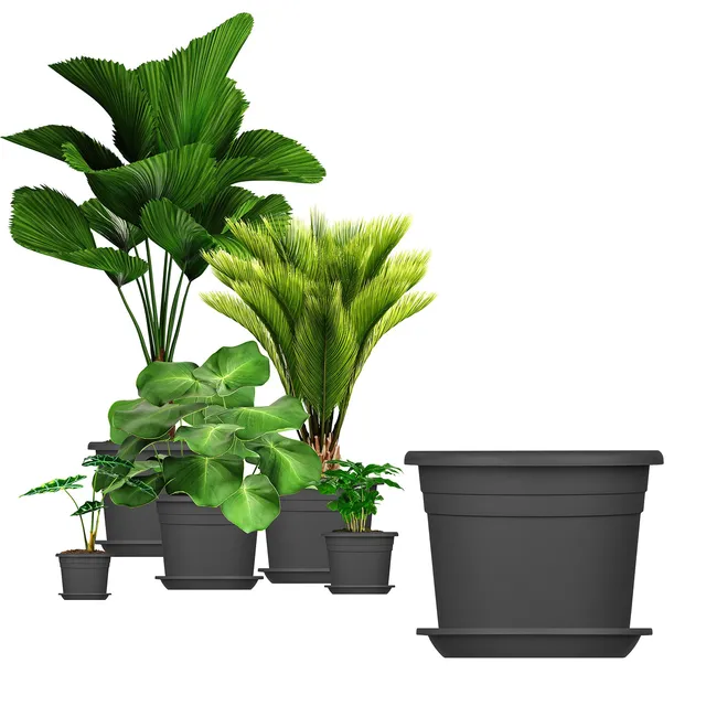 BigDean Blumentopf Ø35 cm Anthrazit 5er Set mit Untersetzer