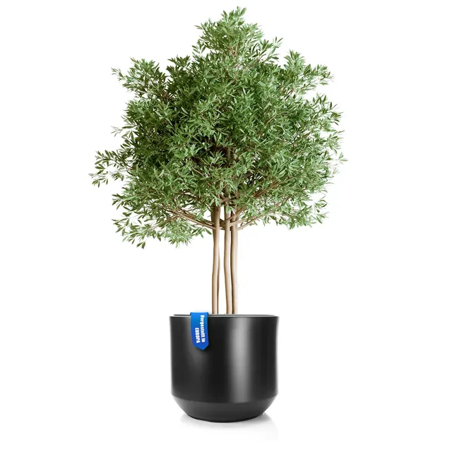 BigDean Blumentopf Style Ø 58 cm Anthrazit Pflanzkübel Innentopf