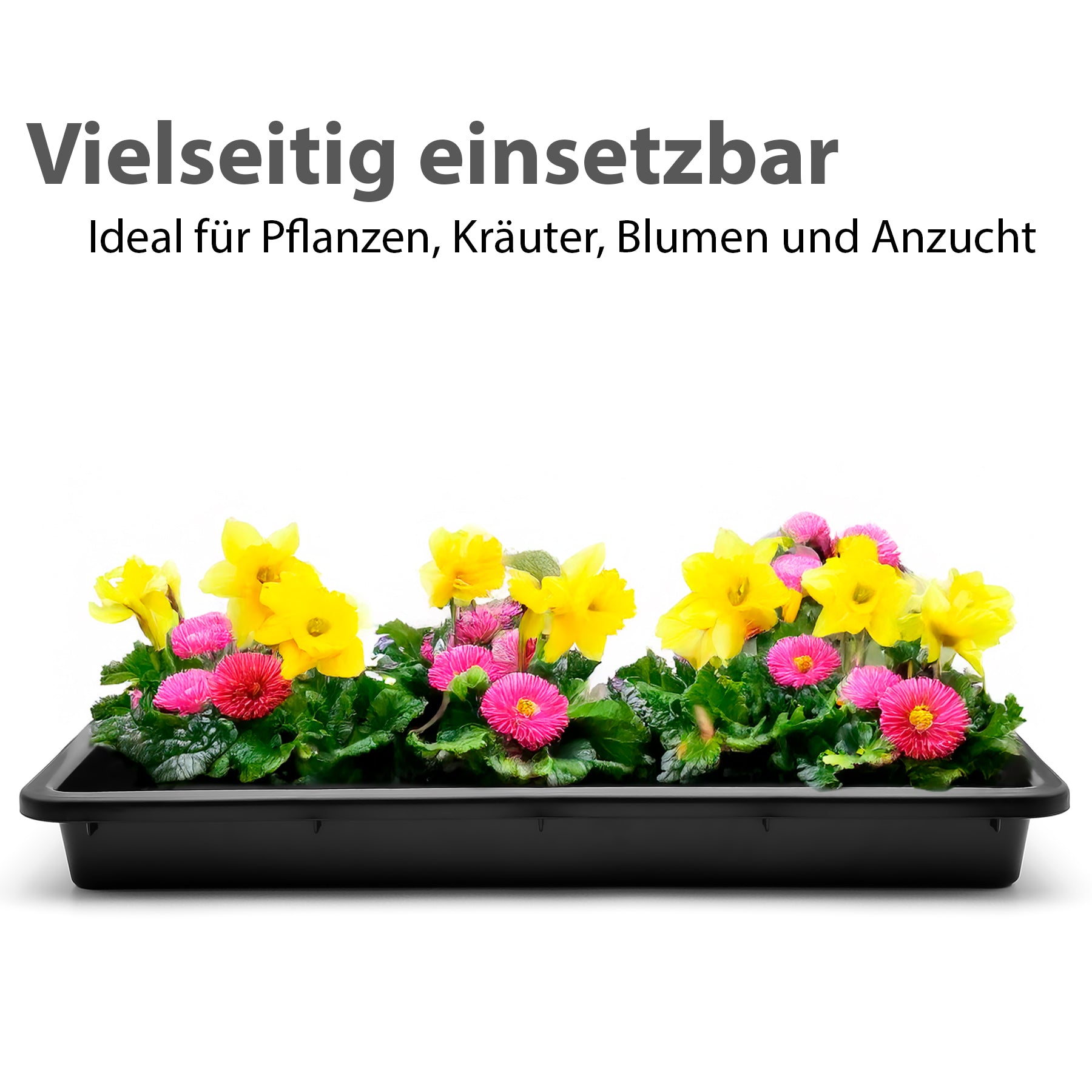 BigDean Haushalt & Alltag Pflanzschale 59x39x6 cm 2 Stück