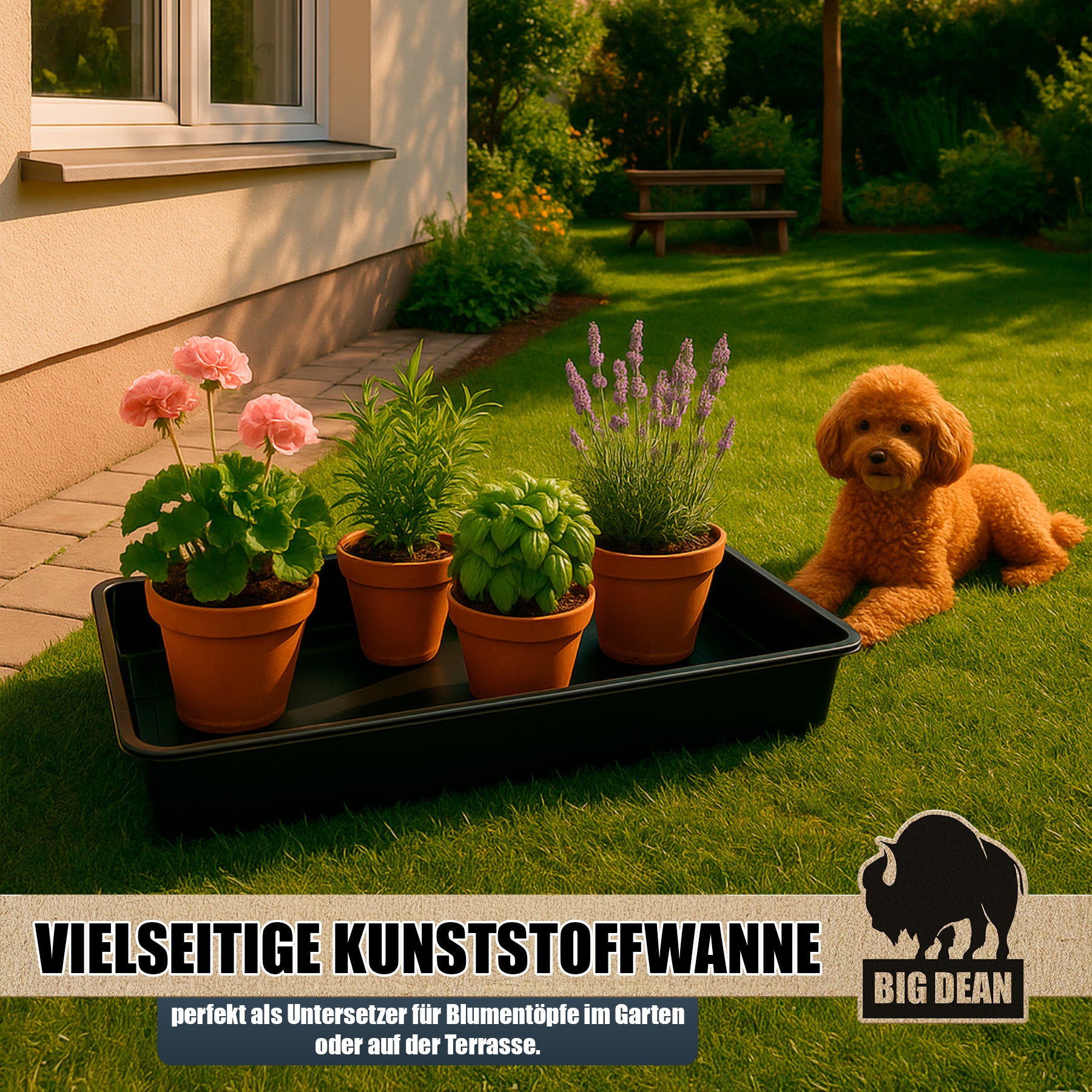 BigDean Haushalt Wanne XXXL 100x55x15cm Kunststoff Universal