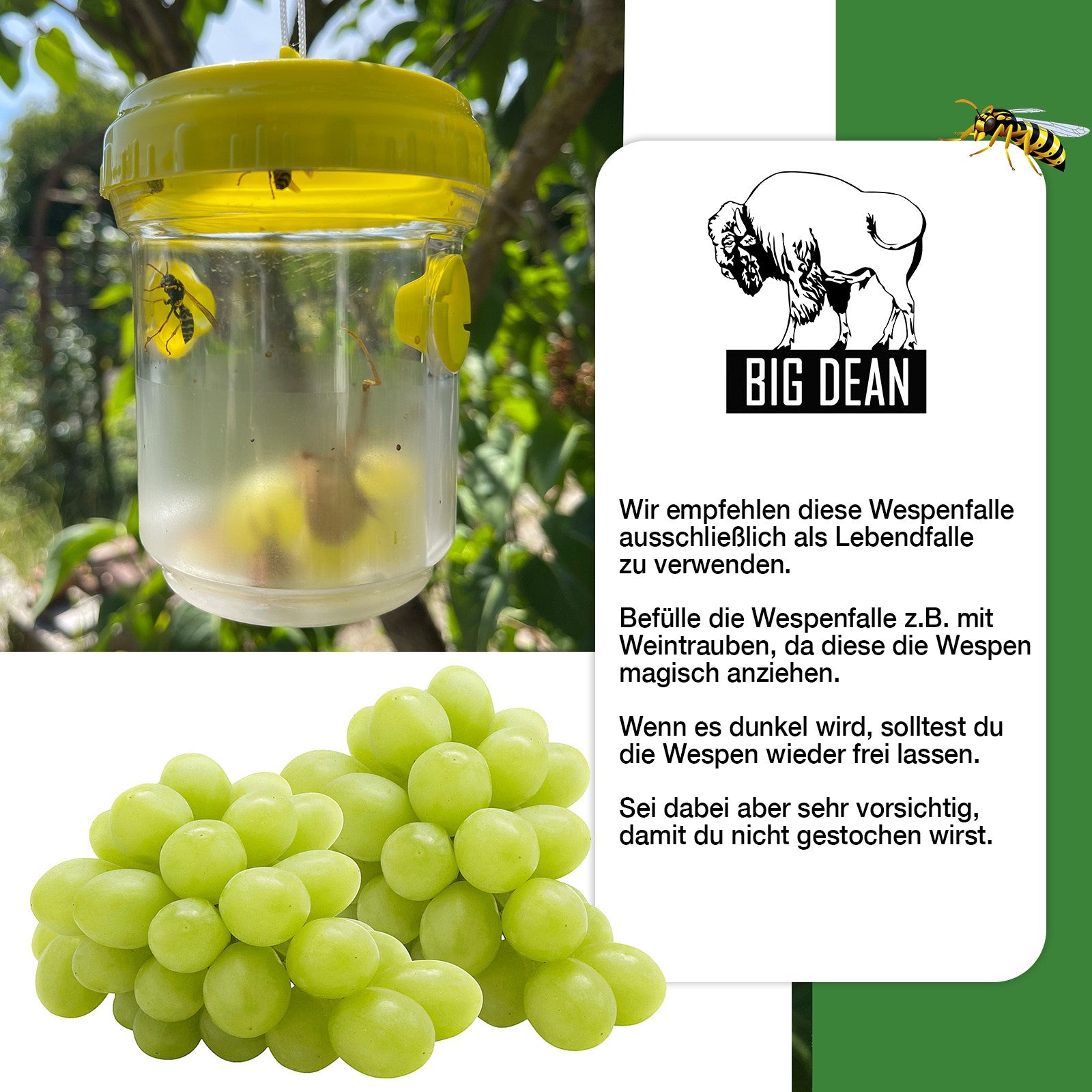 BigDean Garten Wespenfallen Grün 9x13cm 3er Set Lebendfalle