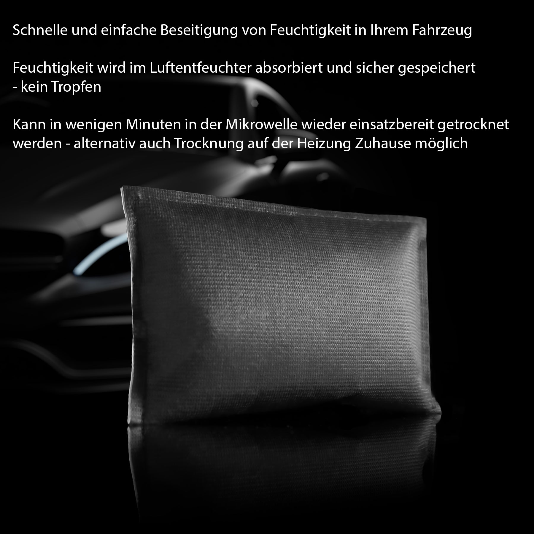 BigDean Luftentfeuchter Auto Kissen 2x330g wiederverwendbar