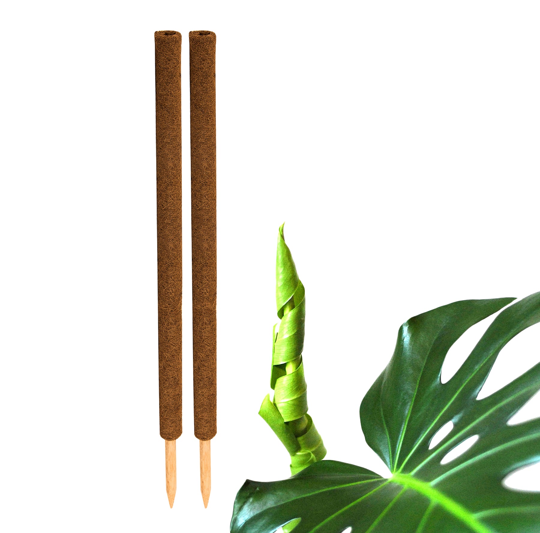 BigDean Garten & Außenbereich Pflanzstäbe Kokos 110 cm 2er Set