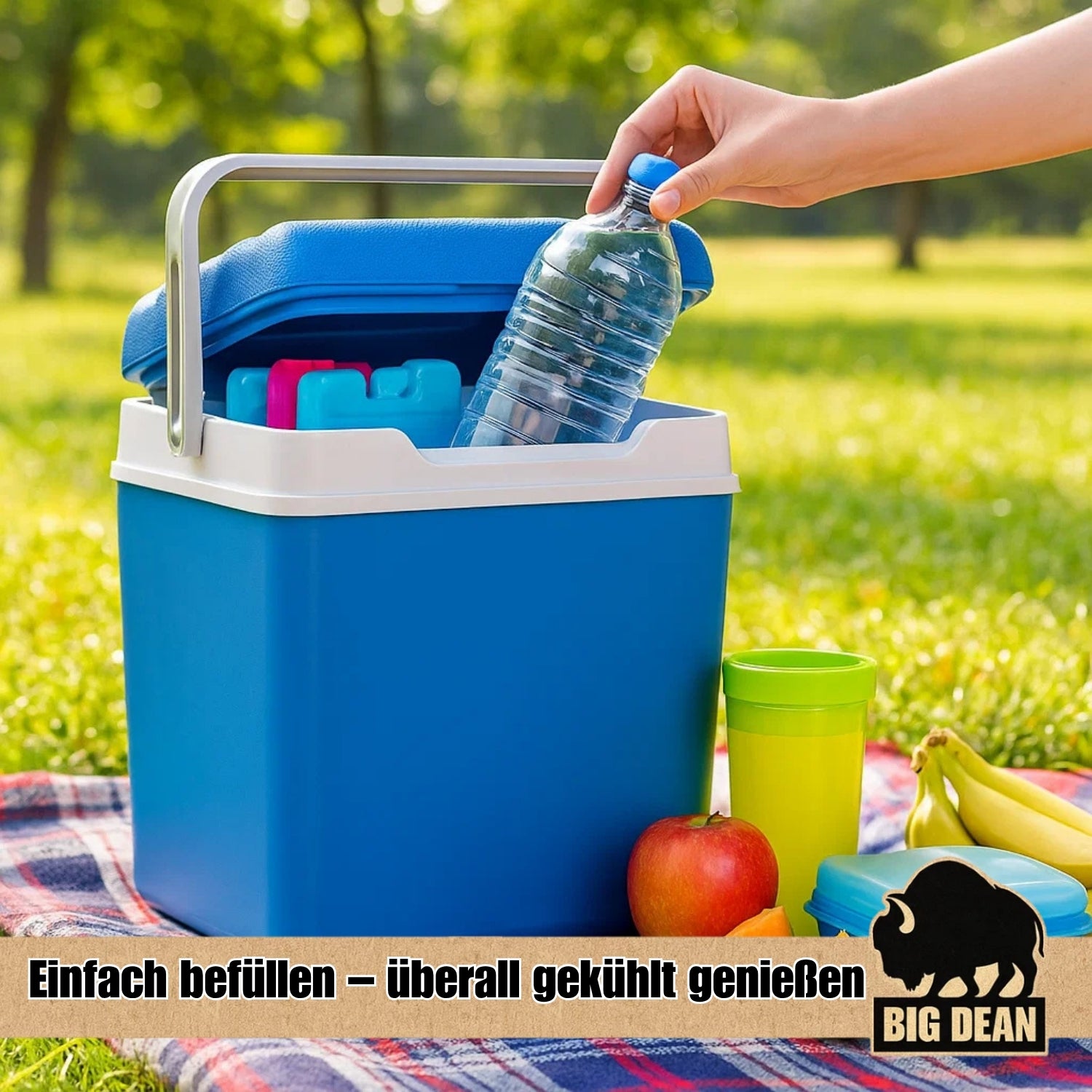 BigDean Kühlbox 24 Liter inkl. 12 Kühlakkus bis 11h