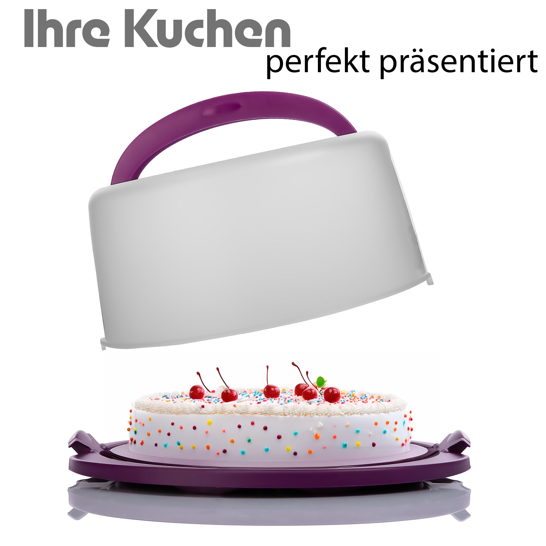 BigDean Küche & Vorrat Kuchen Transportbox Rund Brombeere