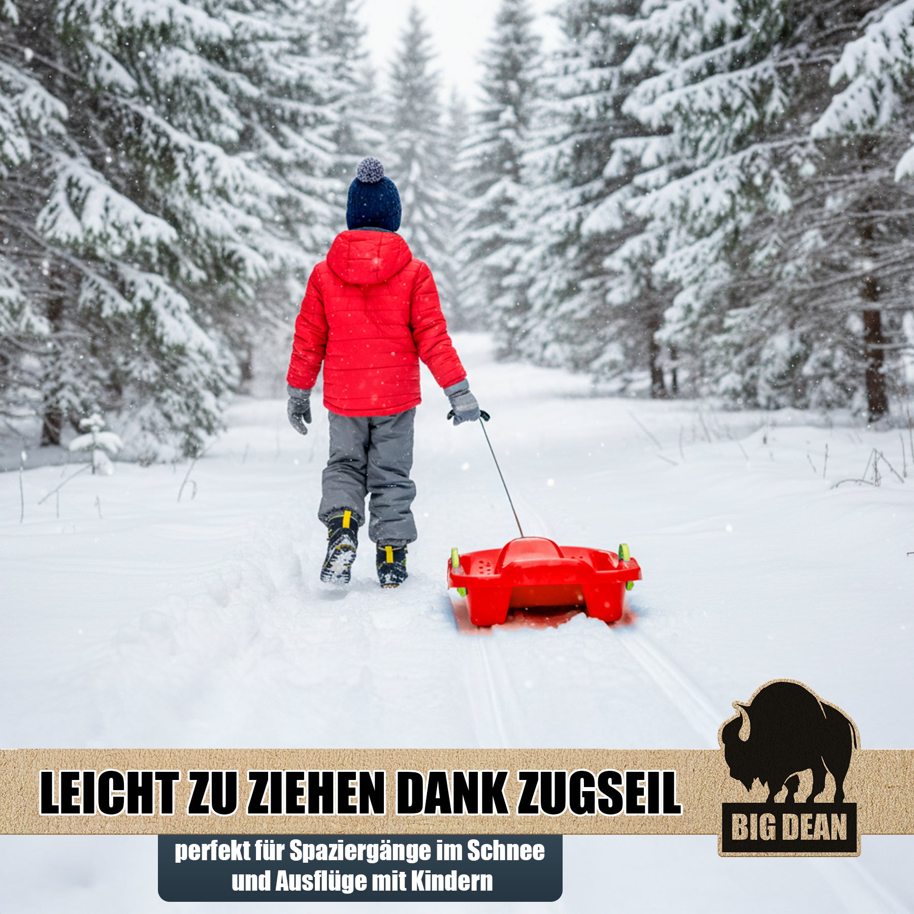 BigDean Premium Schlitten mit Bremshebel Kunststoff Leicht