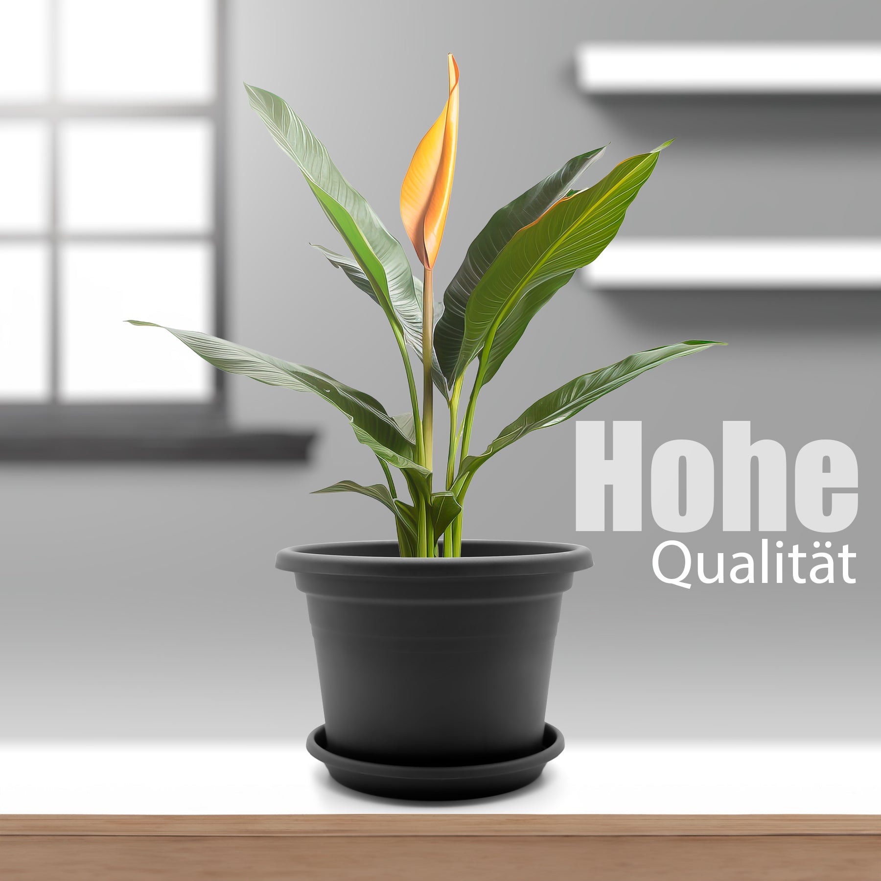 BigDean Garten Blumentopf Ø35cm mit Untersetzer Anthrazit