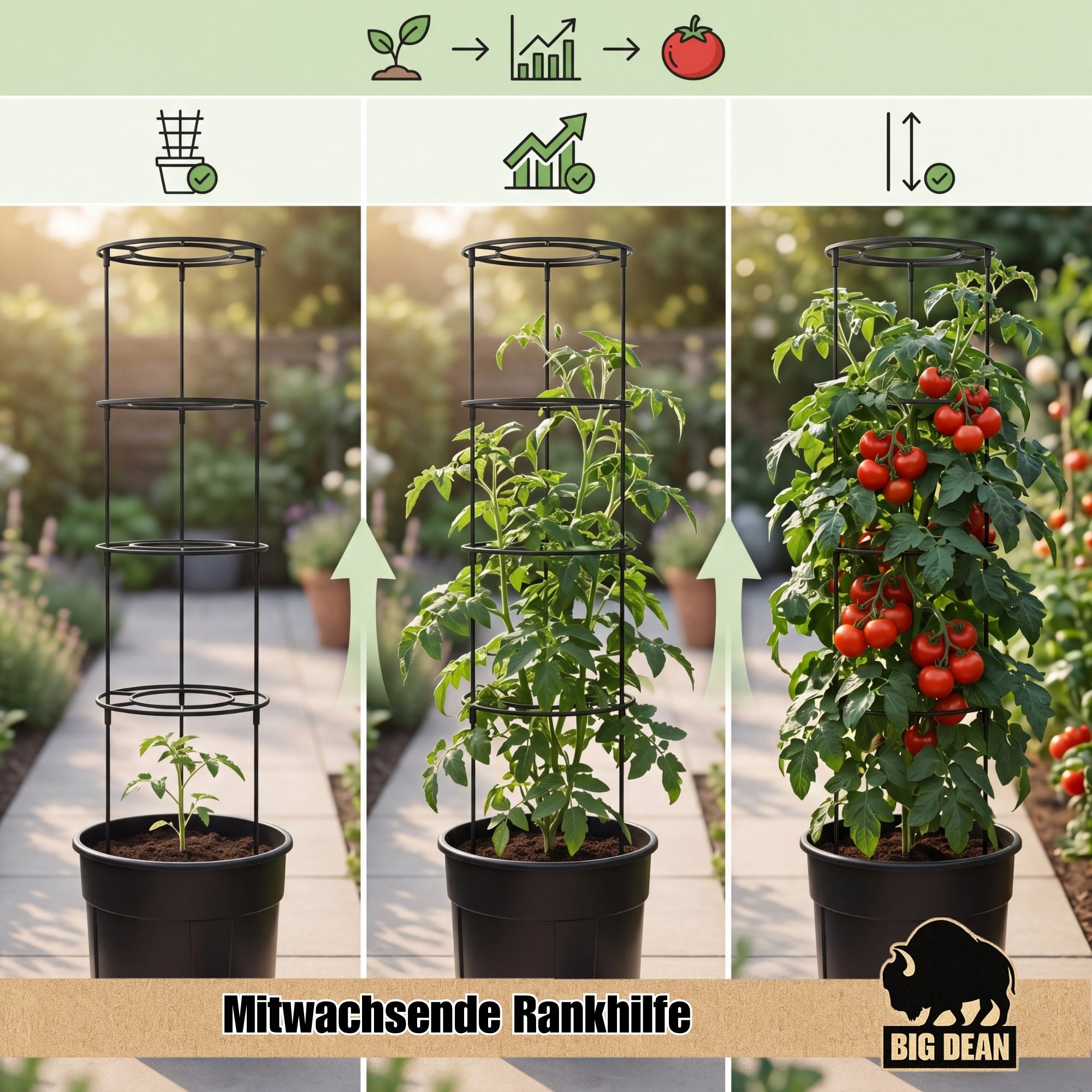 BigDean Tomatentopf XL 40 cm 5 Stück Rankhilfe