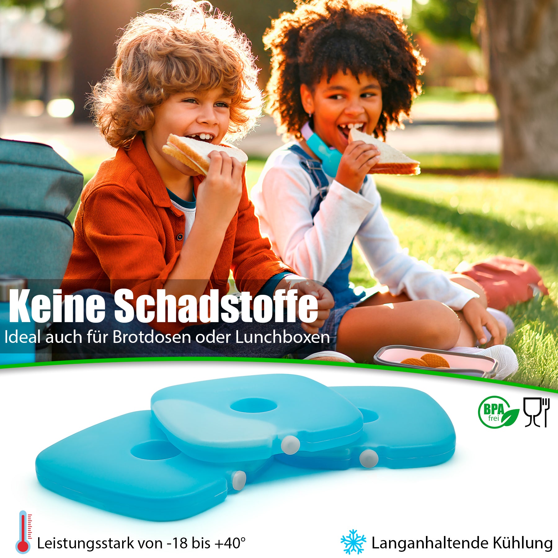 BigDean Küche & Vorrat Kühlakkus 6 Stück Blau BPA-frei