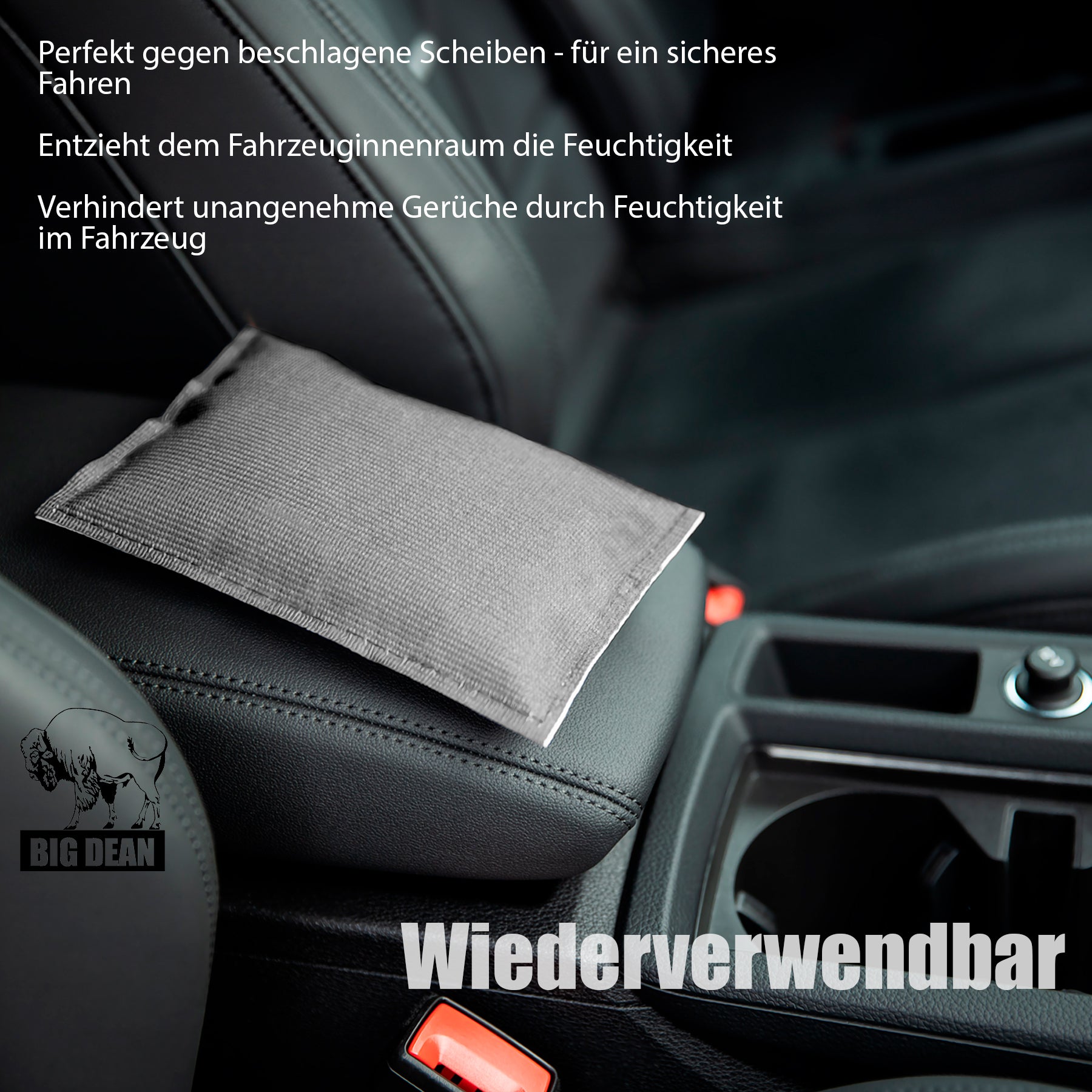 BigDean Luftentfeuchter Auto Kissen 2x330g wiederverwendbar