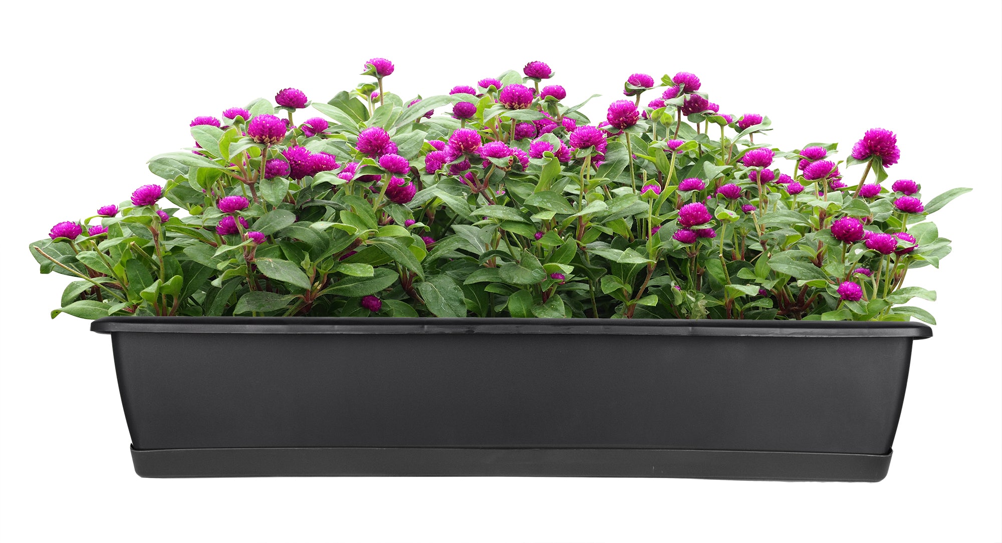 BigDean Blumenkasten 80cm Anthrazit 2er mit Untersetzer