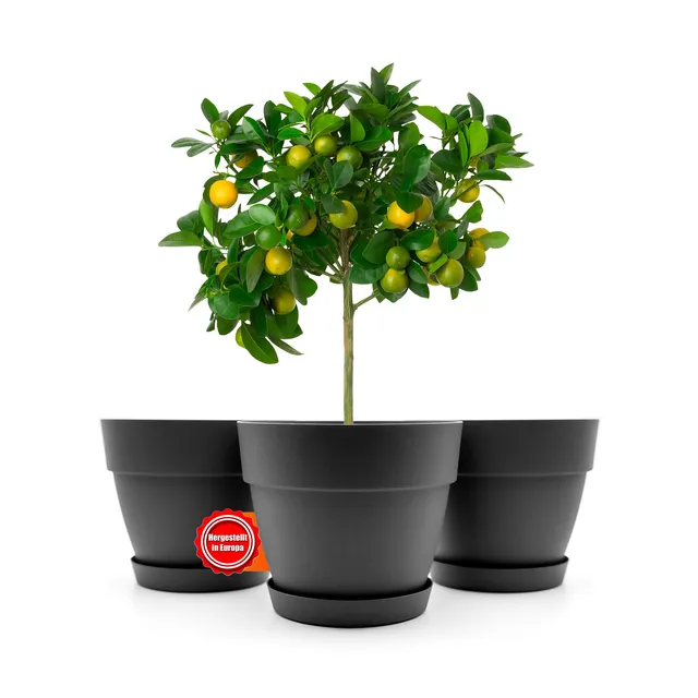 BigDean Blumentopf ø47cm Anthrazit 3 Stück mit Untersetzer