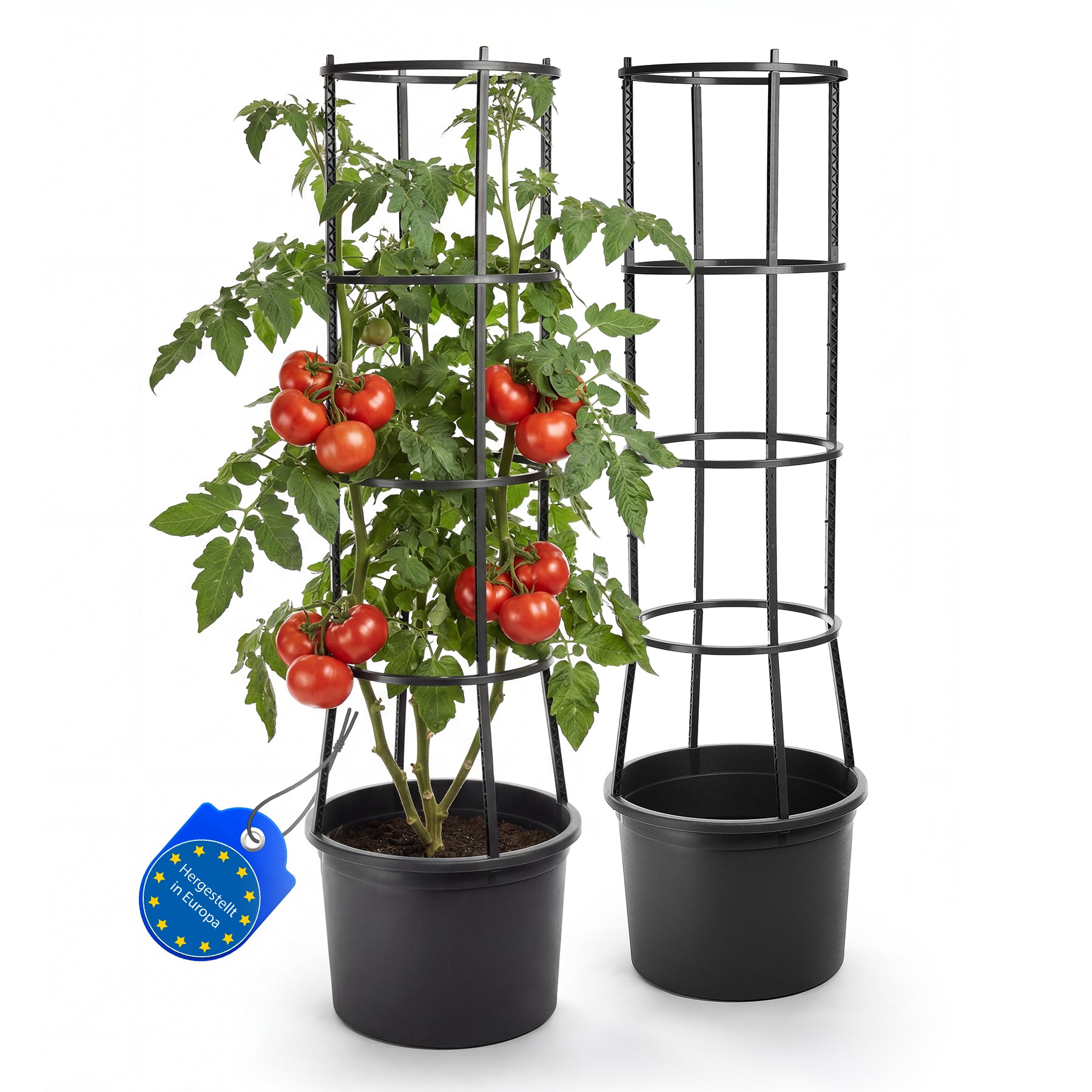 Tomatentopf XL Rankhilfe Wasserspeicher 2 Stück Selbstbewässerung