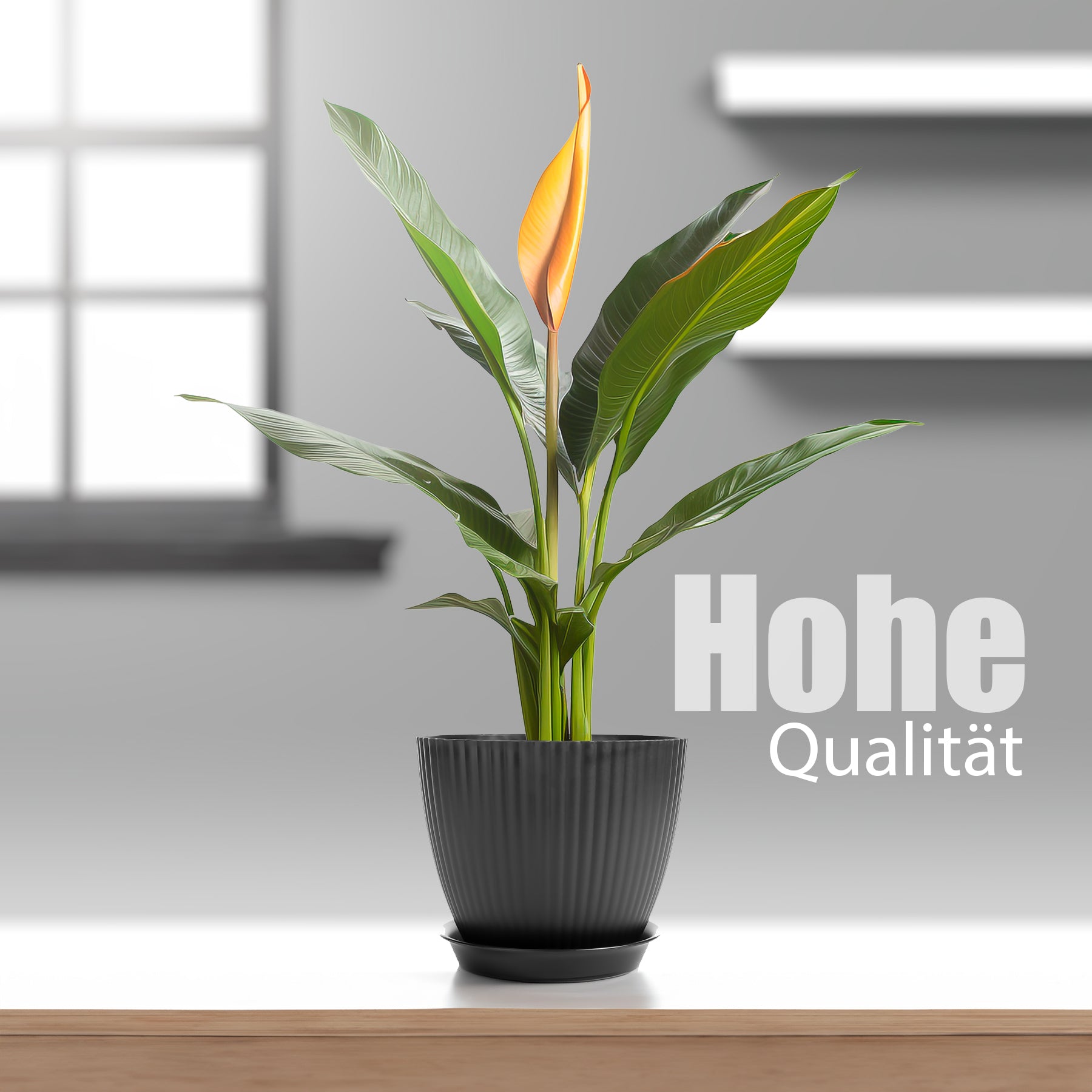 BigDean Garten Blumentopf Set 8er Anthrazit mit Untersetzer