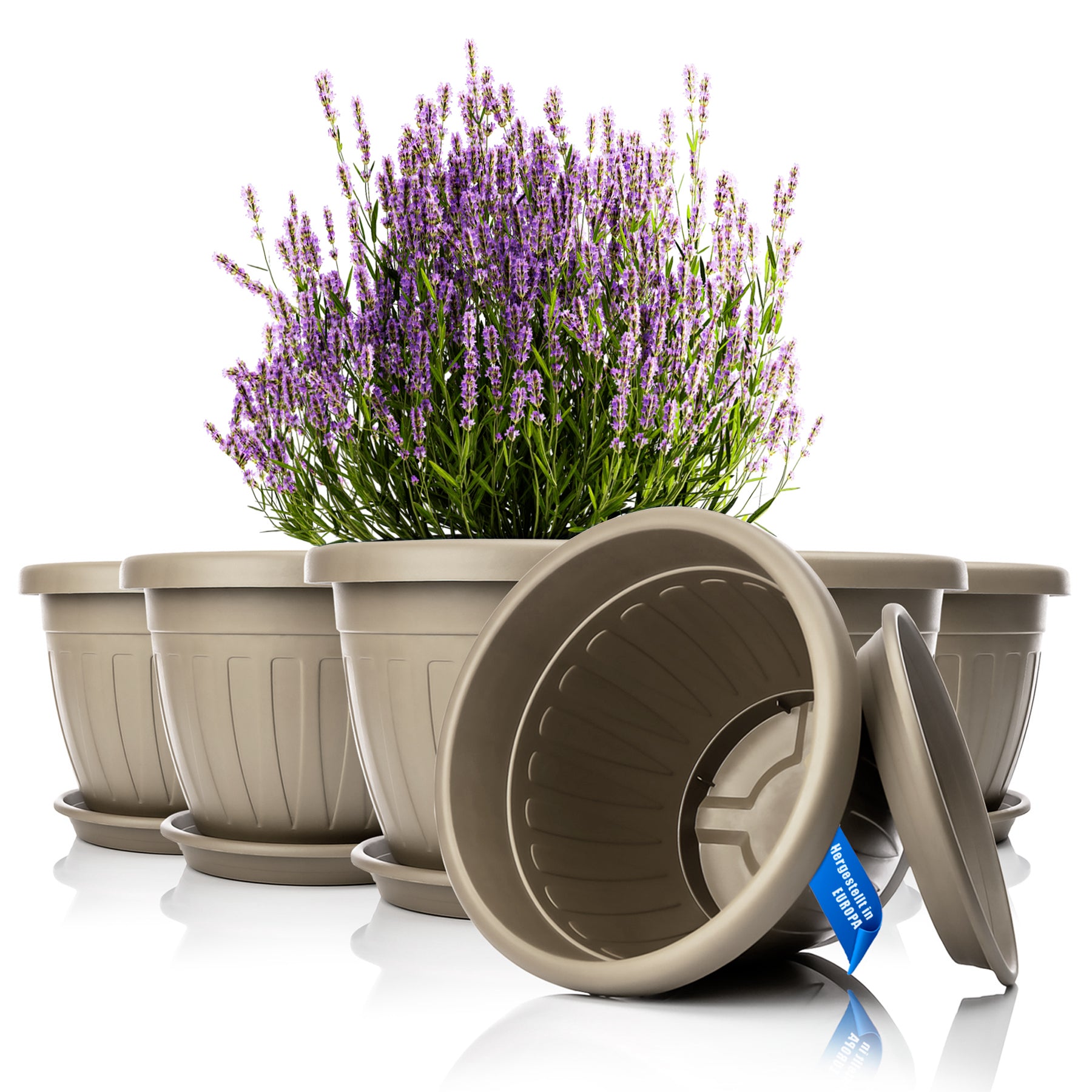 BigDean Blumentopf 40x31 cm 6er Set Mokka Untersetzer